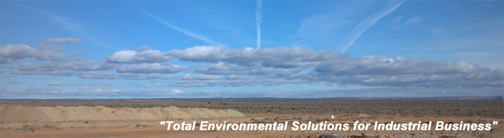 Contract Environmental Services, Inc. Site