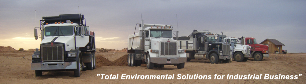Contract Environmental Services, Inc. Site